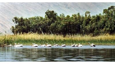 دریاچه پریشان چه دیدنی هایی دارد