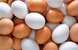 راز کاهش ضعف بدن!