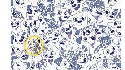 پاسخ معمای تصویری