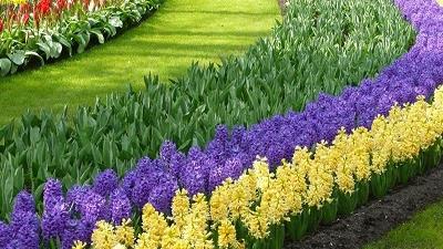 باغ گلاریس تهران چه دیدنی هایی دارد