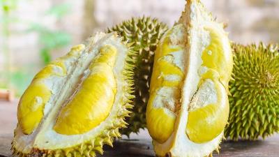 دوریان یک میوه استوایی بومی آسیای جنوب شرقی است که می‌توان آن را در مناطق گرمسیری دیگر کاشت