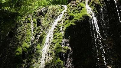 در تابستان به نکا سفر کنید