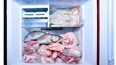 روش درست نگهداری گوشت قرمز، مرغ و ماهی در فریزر