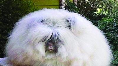 عکس عجیب ترین موجودات جهان