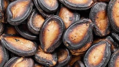 با خاصیت های تخم هندوانه آشنا شوید