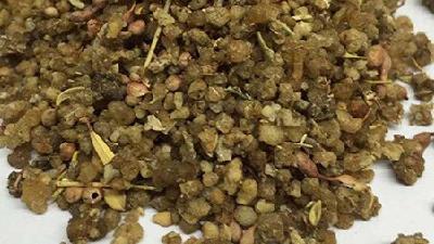 گیاه ترنجبین چه خاصیت هایی دارد