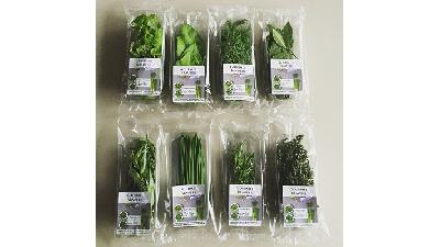 بسته بندی محصولات، پرسودترین کسب و کار خانگی و صنعتی