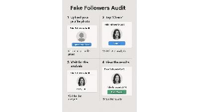 Fake Followers Audit
