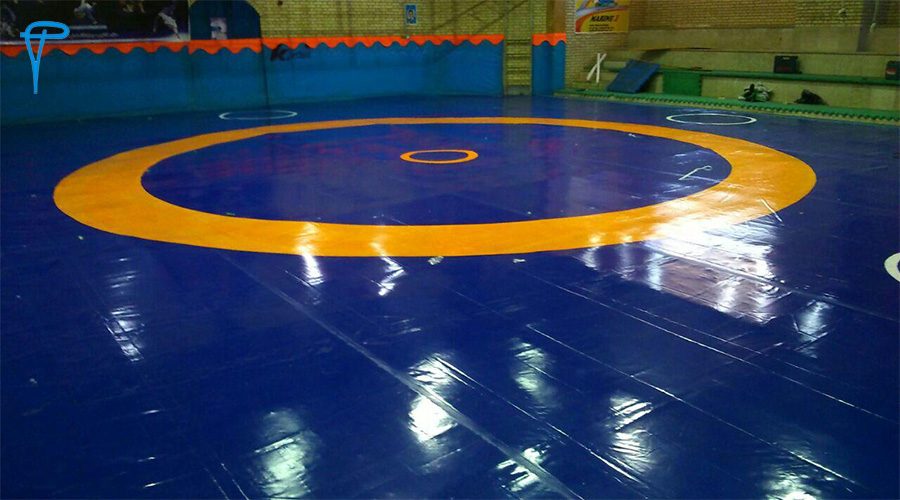 موافقت اتحادیه جهانی با کشتی بانوان ایرانی با پوشش کامل