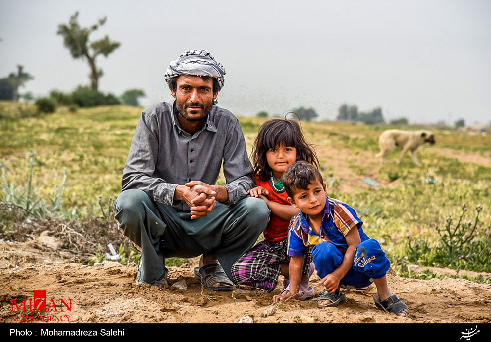 ۳ استان رکورد دار ازدواج دختران با مردان خارجی