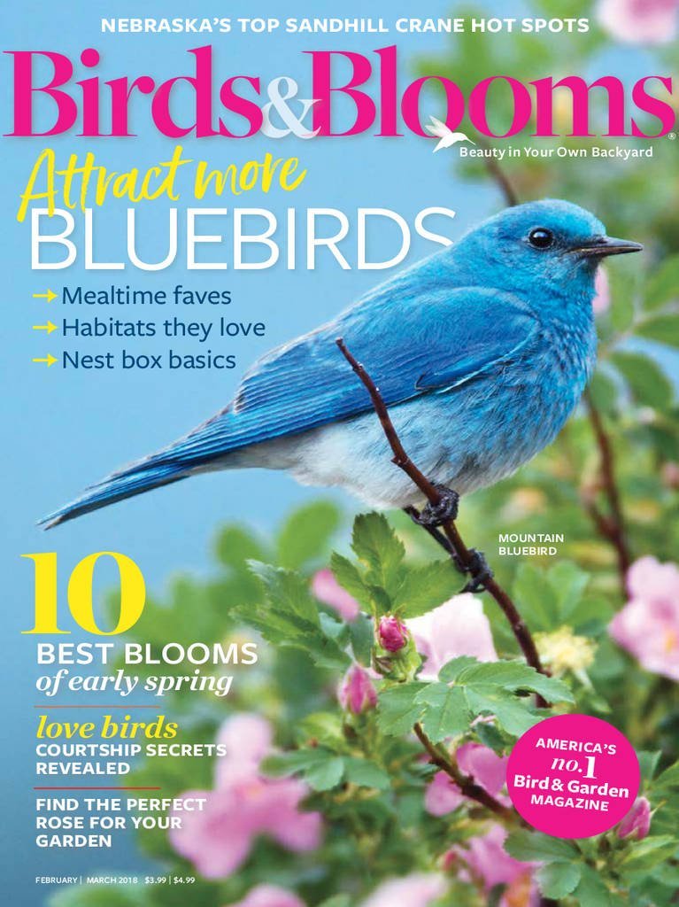 Birds & Blooms، مجله‌ای درباره پرندگان و شکوفه‌ها