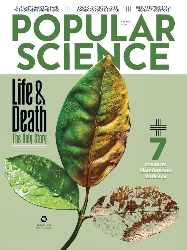 مرگ برگ‌ها در Popular Science
