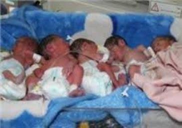 تولد ۶ قلوها در تبریز