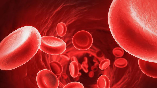 درمان کم خونی با طب سنتی