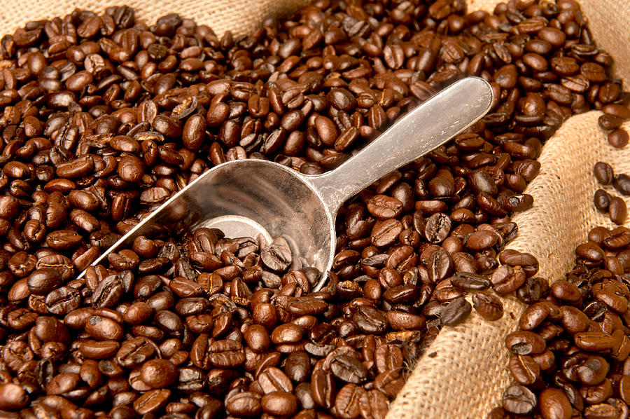 چگونه قهوه مناسب بخریم؟