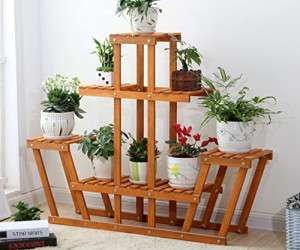 ایده‌هایی برای چیدمان گیاهان در خانه