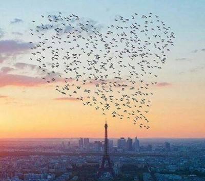 پشت پرده  لاکچری‌های اینستاگرام