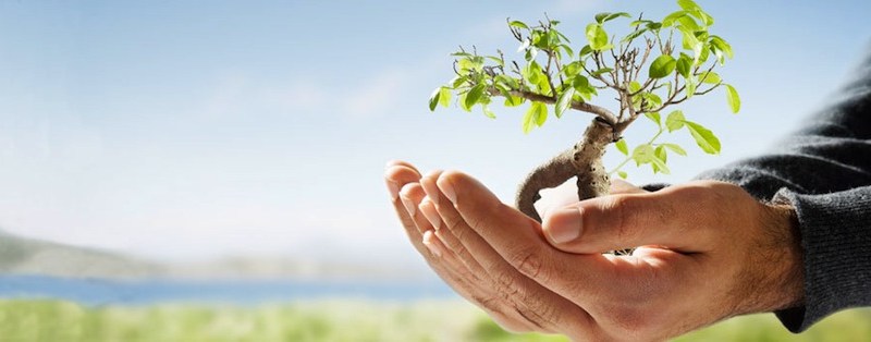 14 راز برای موفقیت در زندگی مشترک