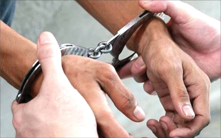 راز‌ قتل زیر درخت میوه