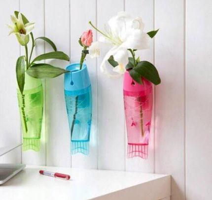 چگونه خانه‌مان را با گیاهان تزیین کنیم؟