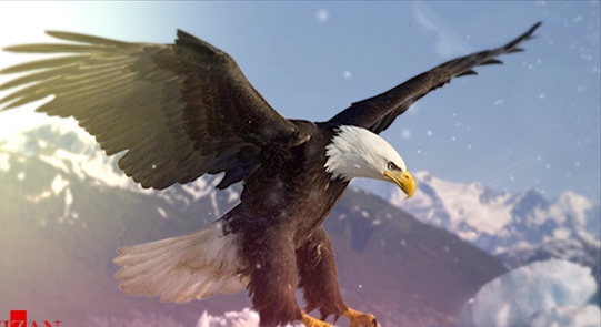 فیلمی فوق‌العاده از صحنه شکار توسط عقاب