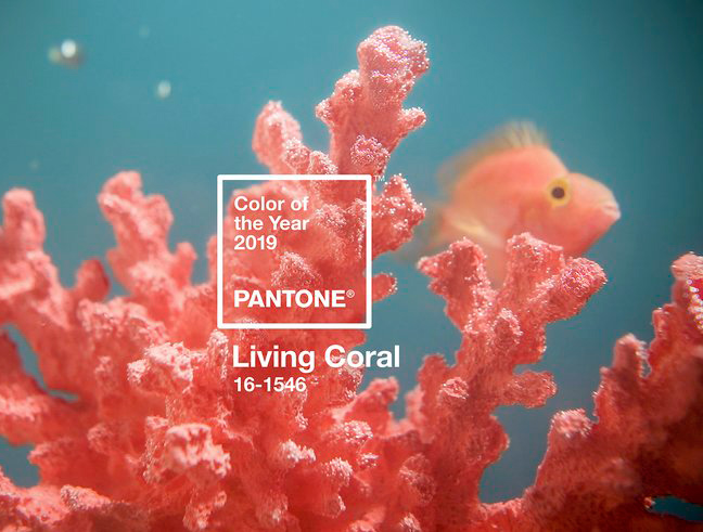 رنگ مرجانی زنده به‌عنوان رنگ سال 2019 انتخاب شد
