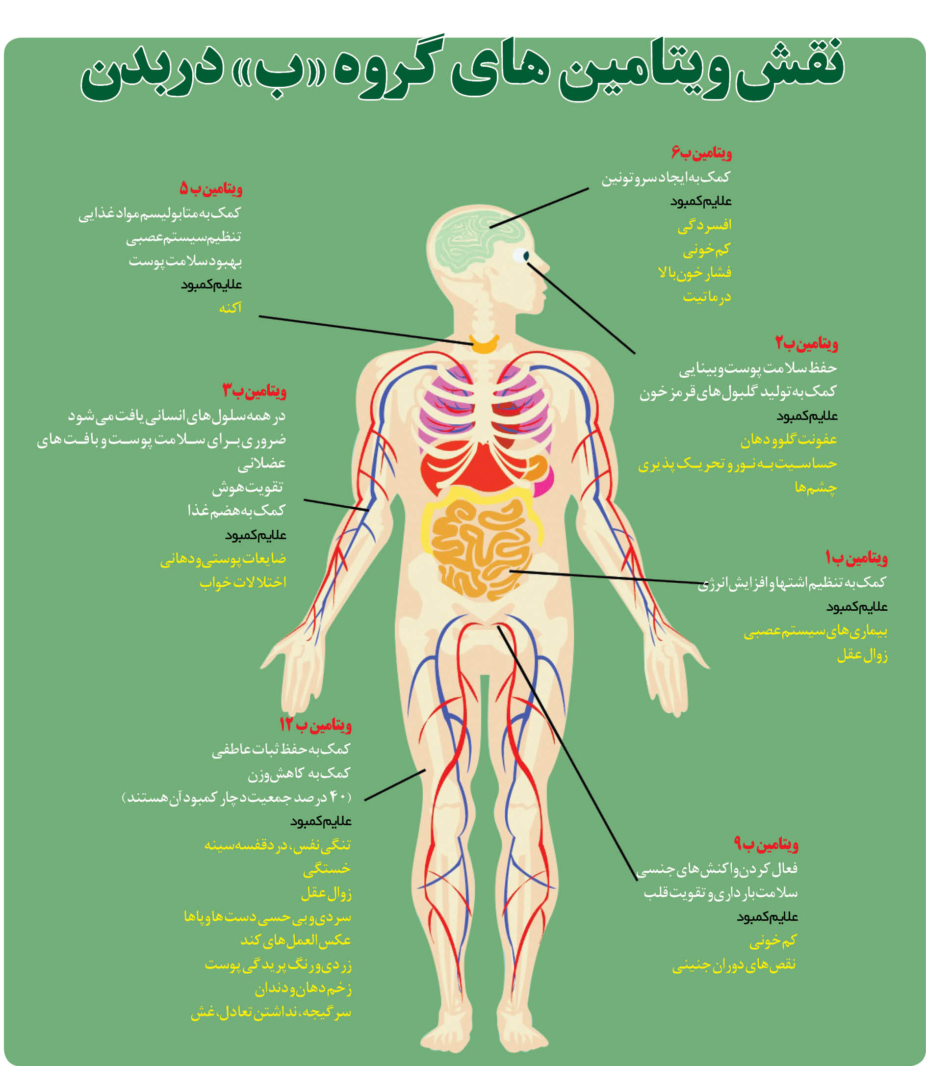 ویتامین‌های گروه ب چه فایده ای برای بدن دارند؟