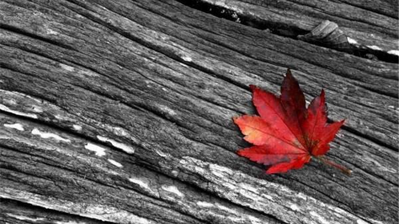 نقشه پلید پسر برای دختر عاشق