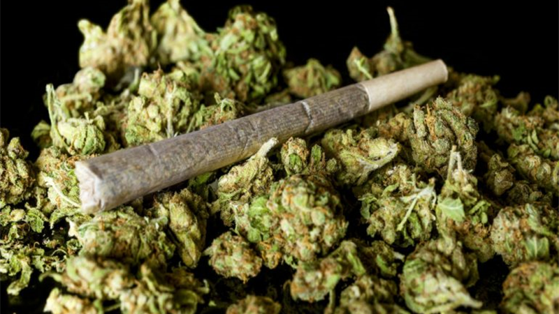 مصرف «گل» چه عوارضی دارد