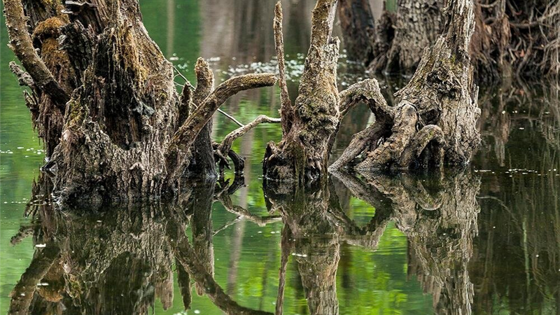 دریاچه ارواح در ایران کجا است و چگونه باید به آنجه برویم