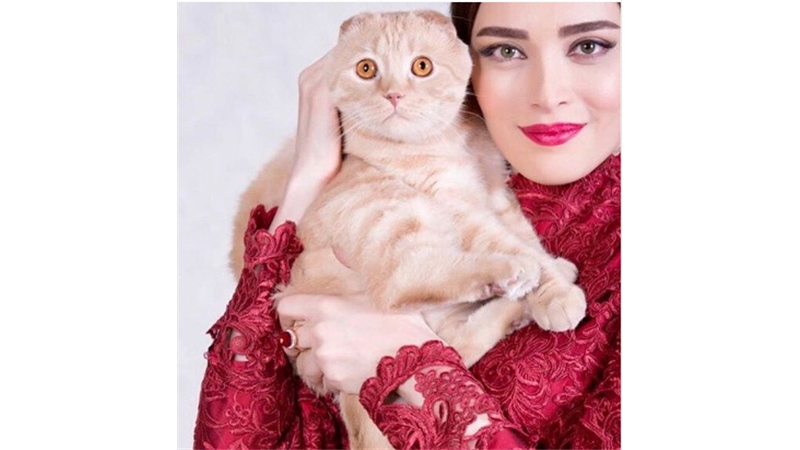 عکسی متفاوت از بهنوش طباطبایی