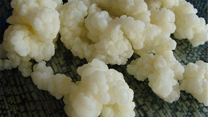 کفیر چه خاصیت‌هایی دارد