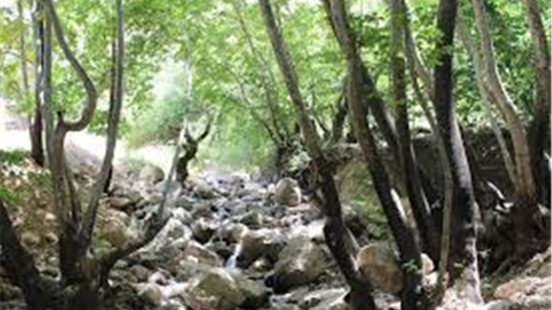 تنگ گنجه ای کجا است و چگونه باید برویم