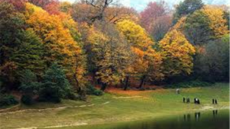 همه آنچه درباره پارک جنگلی گلستان باید بدانید