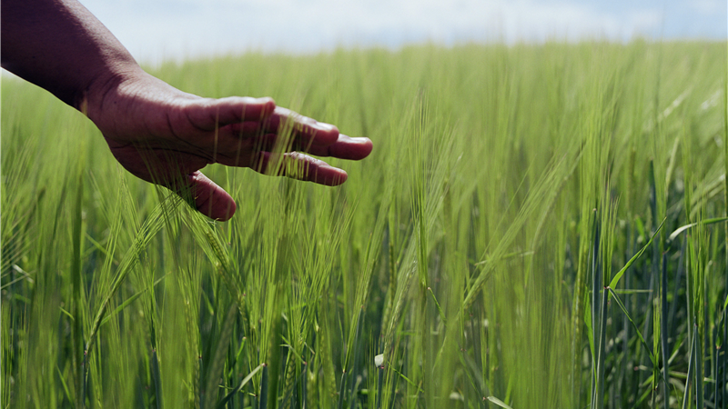 چه کار کنیم تا در زندگی آرامش داشته باشیم