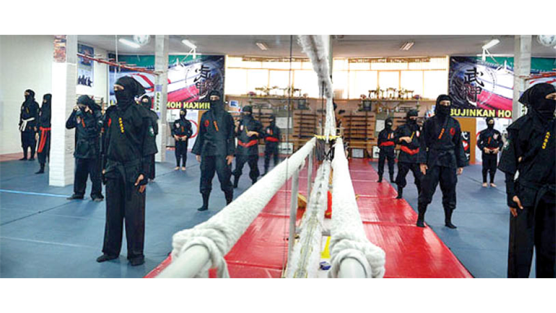 معرفی کامل ورزش نینجوتسو، چگونه می‌شود نینجا شد