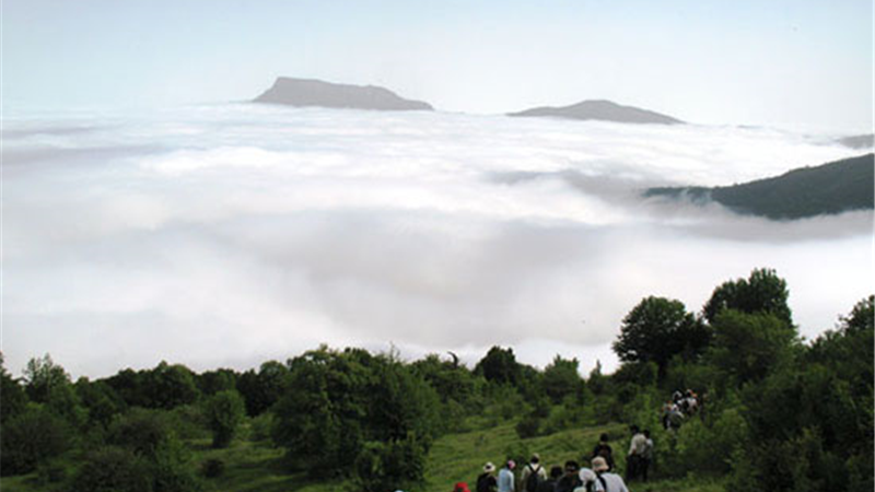 راهنمای کامل سفر  و ویژگی‌های دیدنی جنگل ابر