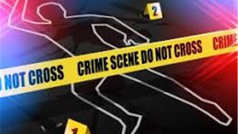 معمای جنازه‌های  تکه تکه شده عروس و داماد