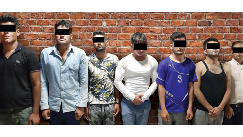 انهدام شبکه مخوف زورگیران آدمکش موسوم به گربه های وحشی