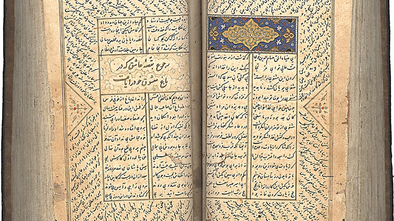 غزلی از دیوان شمس / چشم تو ناز می‌کند ناز جهان تو را رسد