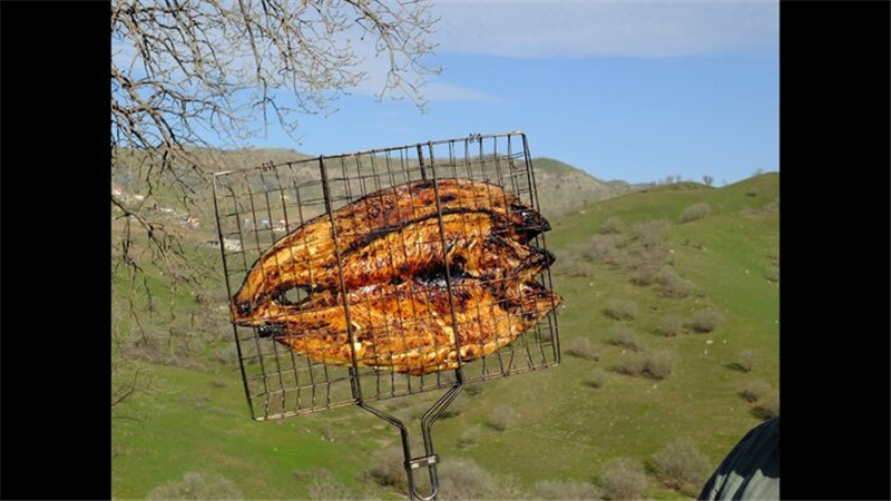 آشپزی/ دستور پخت ماهی کبابی