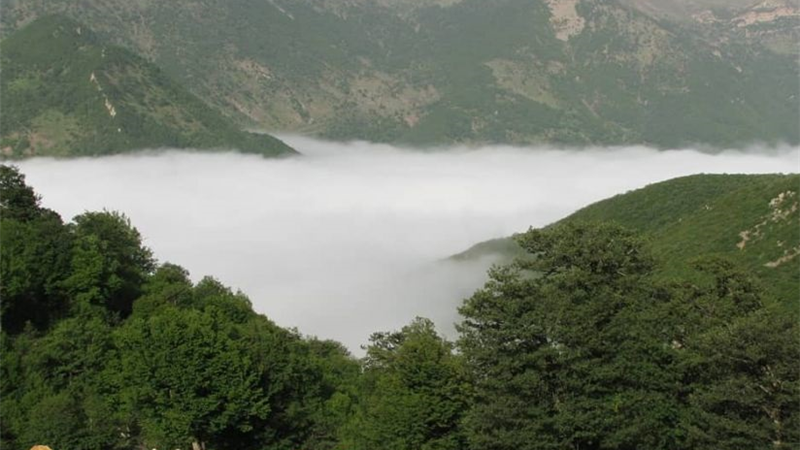 چرا، چگونه و چه فصلی به جنگل ابر سفر کنیم