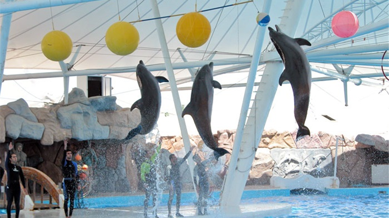 در جزیره کیش از کجاها دیدن کنیم