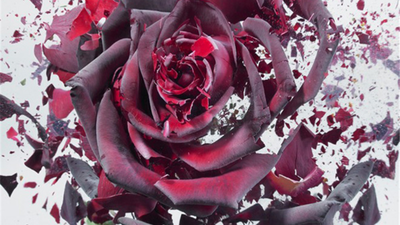 عشق قدیمی؛ انگیزه زن برای طلاق