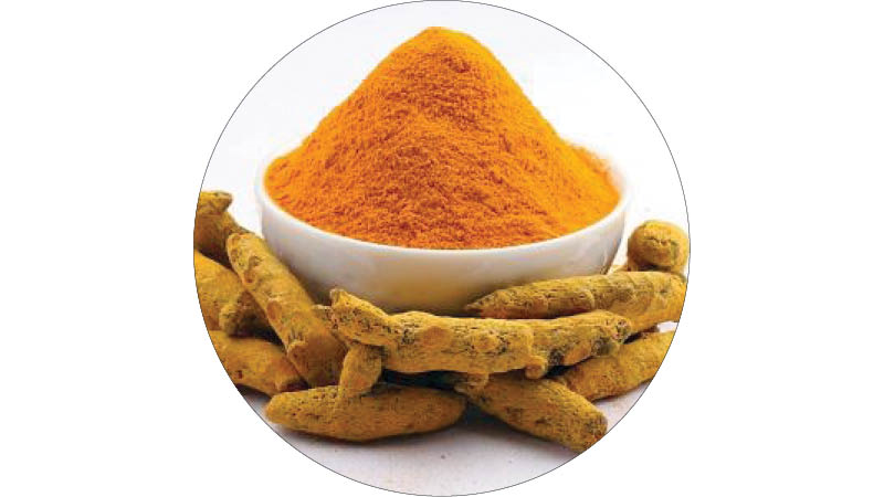 درمان کبد چرب با طب سنتی