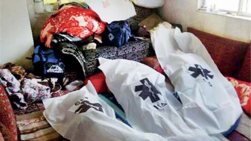 3 قتل به دستور همسر دوم