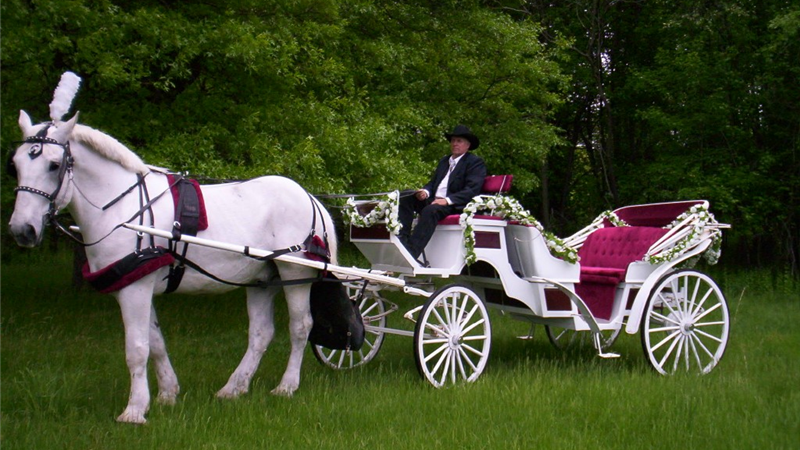 عروسی لاکچری چه آپشن‌ها و تشریفاتی دارد و چگونه برگزار می‌شود