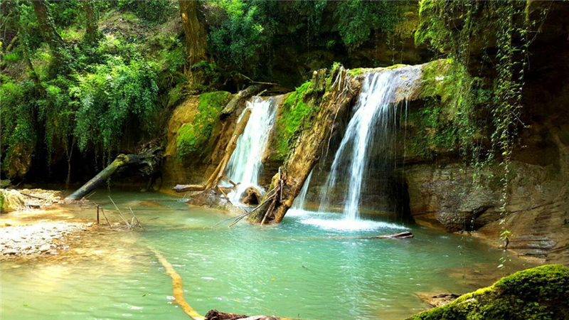 چرا و چگونه به جنگل لفور در استان مازندران برویم