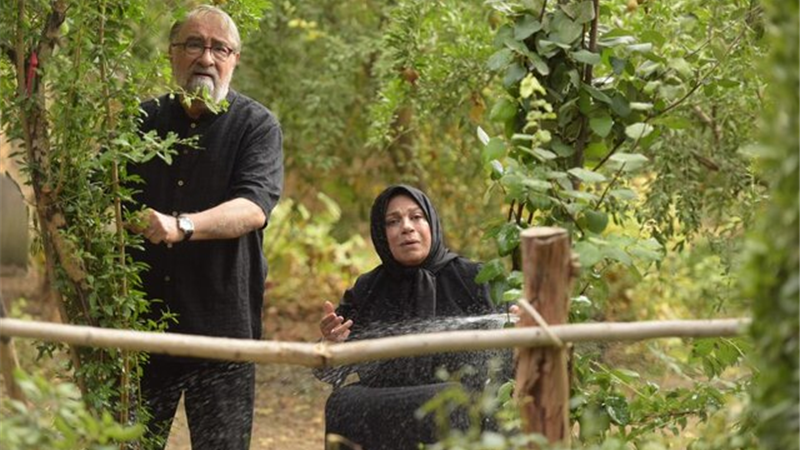 فلورا سام ، کارگردان توضیح داد: سریال مرضیه سریالی درباره فساد