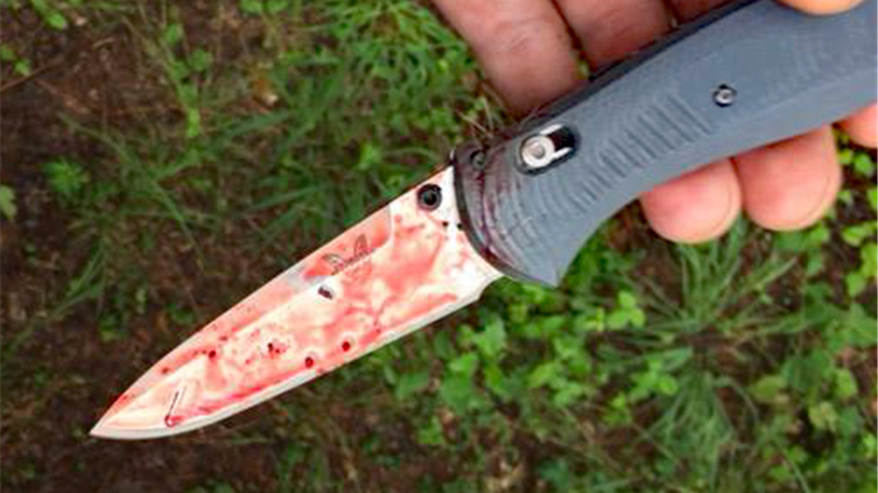 قتل عمه و شوهرش به دلیل اختلاف خانوادگی